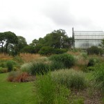 National Botanic Garden in Dublin
